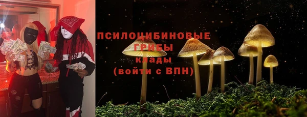 крисы Горно-Алтайск