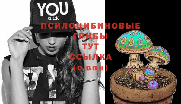 мет Горнозаводск
