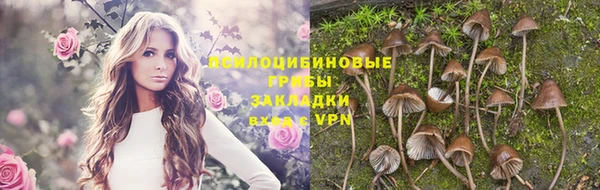 мет Горнозаводск