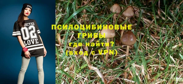 шишки Фёдоровский