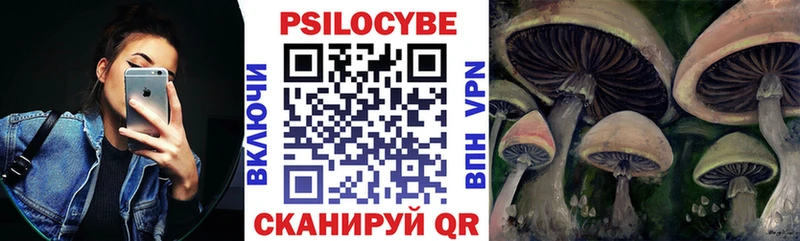 omg ссылки  Кинешма  Псилоцибиновые грибы ЛСД  продажа наркотиков 