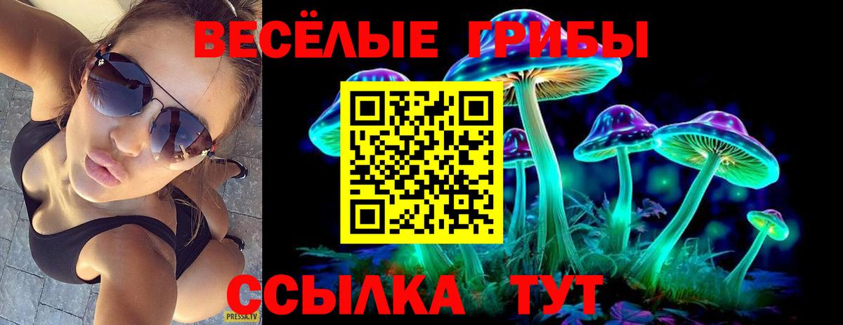 Псилоцибиновые грибы ЛСД Кинешма